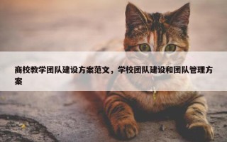 商校教学团队建设方案范文，学校团队建设和团队管理方案