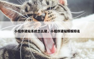 小程序建站系统怎么建，小程序建站模板排名