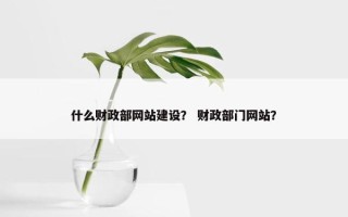 什么财政部网站建设？ 财政部门网站？