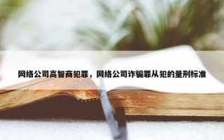 网络公司高智商犯罪，网络公司诈骗罪从犯的量刑标准