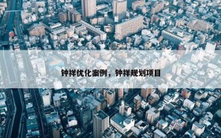 钟祥优化案例，钟祥规划项目
