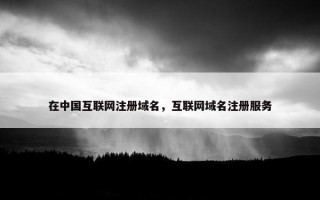 在中国互联网注册域名，互联网域名注册服务
