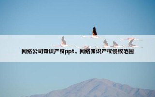 网络公司知识产权ppt，网络知识产权侵权范围