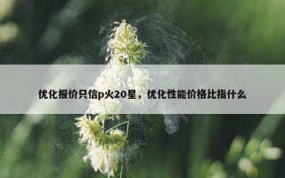 优化报价只信p火20星，优化性能价格比指什么