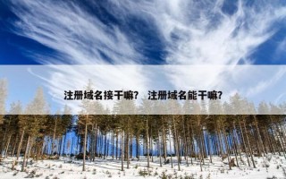 注册域名接干嘛？ 注册域名能干嘛？