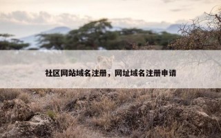 社区网站域名注册，网址域名注册申请