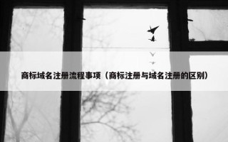 商标域名注册流程事项（商标注册与域名注册的区别）
