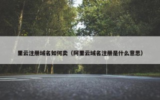 里云注册域名如何卖（阿里云域名注册是什么意思）