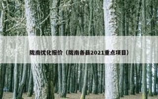 陇南优化报价（陇南各县2021重点项目）