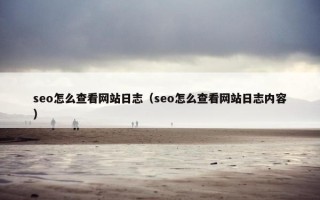 seo怎么查看网站日志（seo怎么查看网站日志内容）