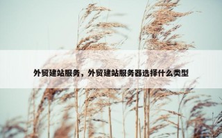 外贸建站服务，外贸建站服务器选择什么类型