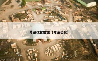 皮革优化效果（皮革柔化）