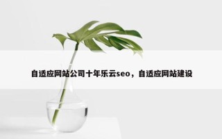 自适应网站公司十年乐云seo，自适应网站建设