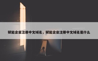 赋能企业注册中文域名，赋能企业注册中文域名是什么