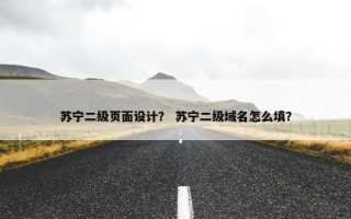 苏宁二级页面设计？ 苏宁二级域名怎么填？