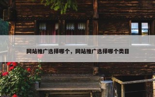 网站推广选择哪个，网站推广选择哪个类目