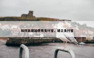如何自建站使用支付宝，建立支付宝