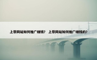 上蔡网站如何推广赚钱？ 上蔡网站如何推广赚钱的？