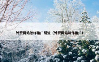 外贸网站怎样推广引流（外贸网站制作推广）