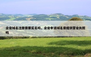 企业域名注册需要实名吗，企业申请域名需提供营业执照吗