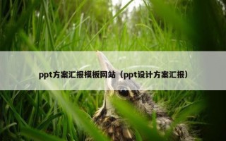 ppt方案汇报模板网站（ppt设计方案汇报）