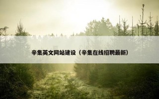 辛集英文网站建设（辛集在线招聘最新）