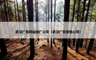武汉广告网站推广公司（武汉广告营销公司）