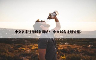 中文名字注册域名网站？ 中文域名注册流程？
