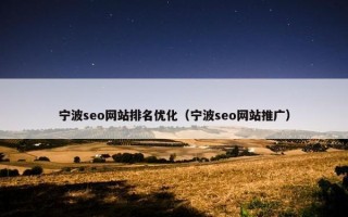 宁波seo网站排名优化（宁波seo网站推广）