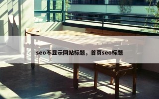 seo不显示网站标题，首页seo标题