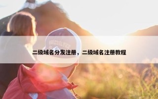 二级域名分发注册，二级域名注册教程