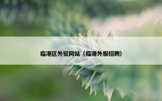 临港区外贸网站（临港外服招聘）