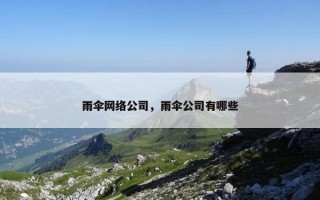 雨伞网络公司，雨伞公司有哪些