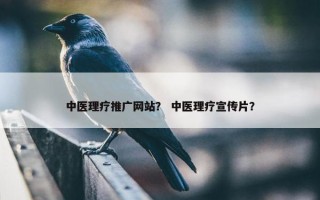中医理疗推广网站？ 中医理疗宣传片？