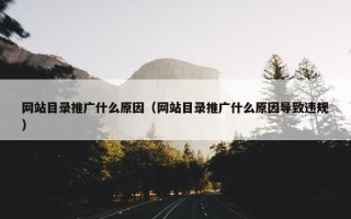 网站目录推广什么原因（网站目录推广什么原因导致违规）