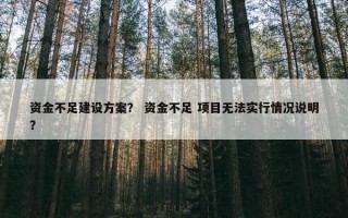 资金不足建设方案？ 资金不足 项目无法实行情况说明？
