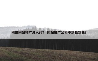 刚做网站推广没人问？ 网站推广公司不到我到我？