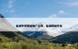盐城外贸网站推广公司，盐城网站外包