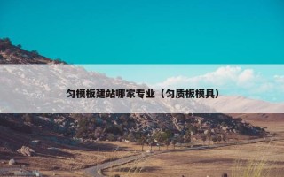 匀模板建站哪家专业（匀质板模具）