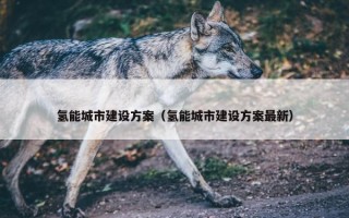 氢能城市建设方案（氢能城市建设方案最新）