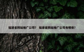 福建省网站推广公司？ 福建省网站推广公司有哪些？