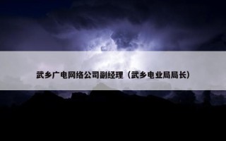 武乡广电网络公司副经理（武乡电业局局长）
