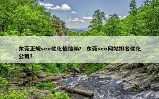 东莞正规seo优化值信赖？ 东莞seo网站排名优化公司？