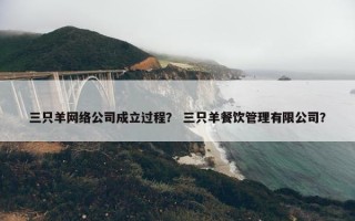 三只羊网络公司成立过程？ 三只羊餐饮管理有限公司？