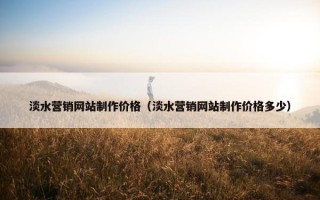 淡水营销网站制作价格（淡水营销网站制作价格多少）