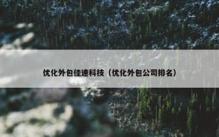 优化外包佳速科技（优化外包公司排名）