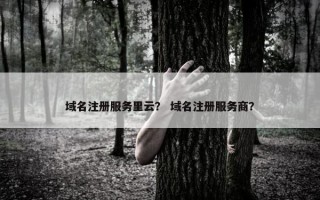 域名注册服务里云？ 域名注册服务商？