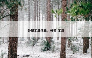 外贸工具优化，外贸 工具