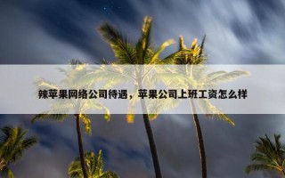 辣苹果网络公司待遇，苹果公司上班工资怎么样