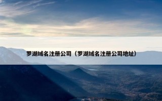 罗湖域名注册公司（罗湖域名注册公司地址）
